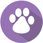 paw print icon